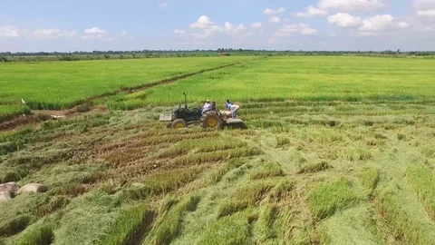 Workers on rise field Stock Footage 83442675