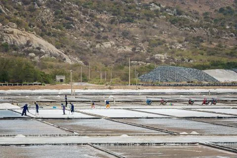 Workers on Salt fields Phan Rang Vietnam Stock Photos