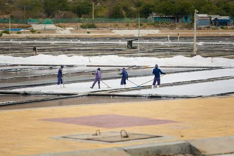 Workers on Salt fields Phan Rang Vietnam Stock Photos
