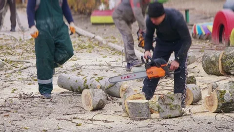 Workers saw large chains of chainsaw Stock Footage 102564692