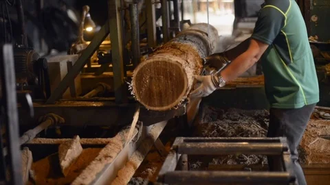 Workers saw logs, wood working Video stock 89022363