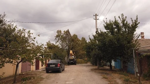 Workers. Sawing a tree. The process of cutting a large tree is shown. Video stock 117689986