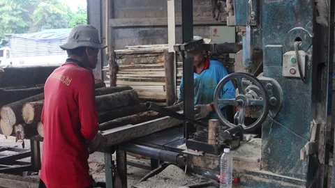 Workers in sawmill Stock Footage 134023773