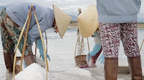 Workers Scoop Salt into Baskets Stock Footage 42389100