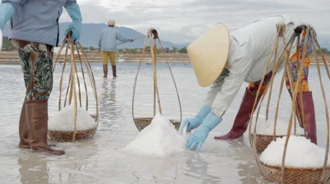 Workers Scoop Salt into Baskets Stock Footage 42390175