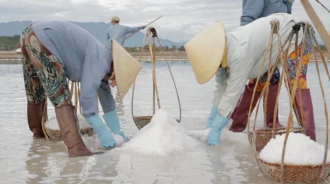 Workers Scoop Salt into Baskets Stock Footage 42390508