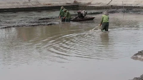 Workers scooped mud in lake Stock Footage 58625617