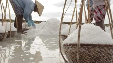 Workers Scooping Salt and Lifting Baskets 動画素材 42439493