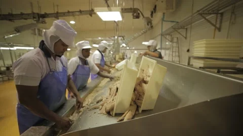 Workers In A Seafood Processing Plant Video stock 60931517