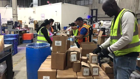 Workers In Shipping Warehouse Pack Boxes to Fill Customer Orders Stock Footage 241703575