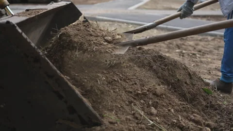Workers shovel soil mixed with grass into excavator bucket Stock Footage 327806320