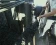 Workers shovelling coal into furnace SD Footage