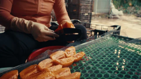 Workers slicing and preparing persimmon fruit for drying. low angle, push Stock Footage 332121458