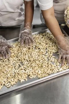 Workers sorting cashew nuts inside modern agricultural processing factory i.. Stock Photos