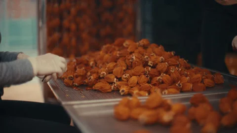 Workers Sorting Dried Persimmons On A Conveyor Belt In A Fruit Processing Stock Footage 332122207