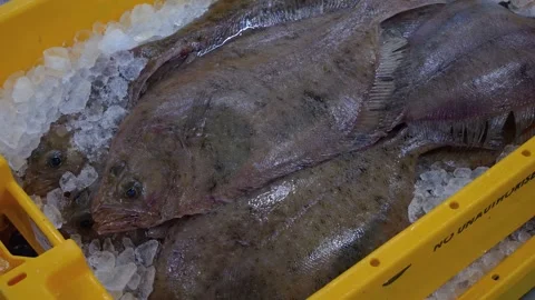 Workers Sorting Fish at Lerwick Fish Market - 4 May 2025 Stock Footage 344681457