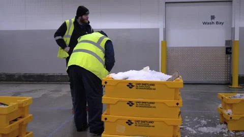 Workers Sorting Fish at Lerwick Fish Market - 4 May 2025 Stock Footage 344682228