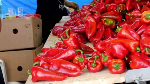 Workers sorting red peppers for sale and packing in cardboard boxes, close up. Video stock 55035069