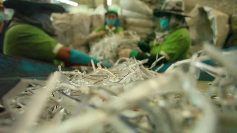 Workers Sorting Shredded Paper on Recycling Production Line Stock Footage 328814094