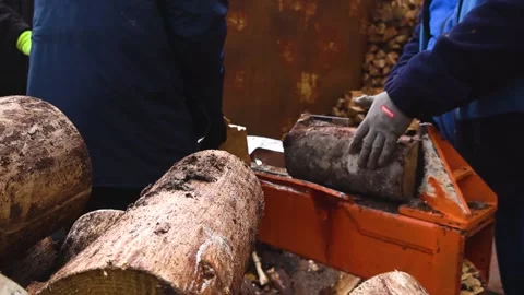 Workers Splitting Firewood Logs With Hydraulic Wood Splitter Machine Stock Footage 332032534