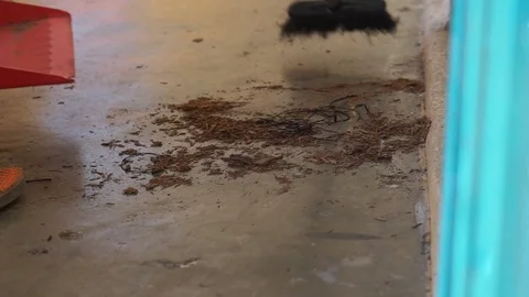 Workers sweep away garbage in the corridor outside the house. Stock Footage 96999782