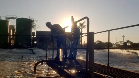 Workers take a test sample of water in Water Recycling and Treatment Pool Stock Footage 248038625