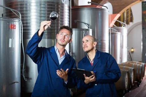 Workers taking notes wine sample Stock-Fotos