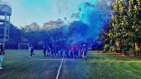 Workers team parade with blue smoke and flags during Labor Day sports event Stock Footage 329502875