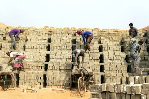 Workers transport bricks using bicycles at a brick kiln site Stock Photos