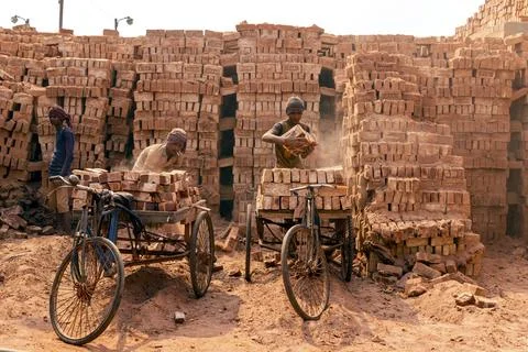 Workers transport bricks using bicycles at a brick kiln site. Foto stock