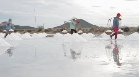 Workers Transporting and Collecting Salt Stock Footage 42384554