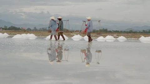 Workers Transporting and Collecting Salt Stock Footage 42448249