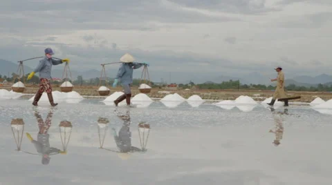 Workers Transporting Salt with Sweeper Stock Footage 42413553