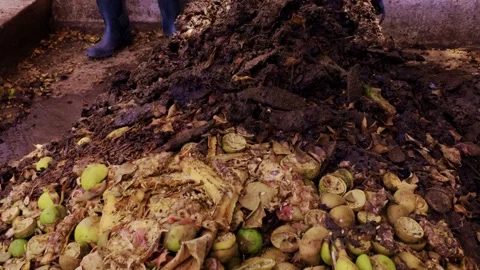 Workers Turning Organic Fruit and Food Waste Compost Pile Stock Footage 346611036