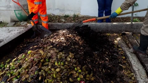 Workers Turning Organic Waste for Composting in a Circular Agribusiness Model Stock Footage 346612254