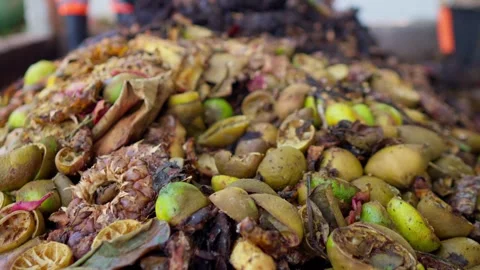 Workers turning organic waste for composting Stock Footage 346612575