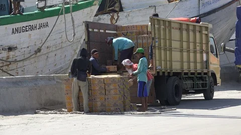 Workers unload boxes from wooden cargo vessels in Sunda Kelapa port Jakarta Stock Footage 78443336