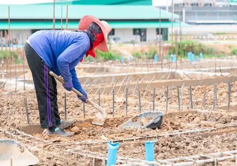 Workers use hoes to dig the soil to adjust the ground. Stock Photos