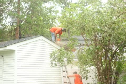Workers using a chainsaw Stock Photos