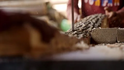 Workers Using Electric Saw Machine Cutting Wooden Log During Pencil Stock Footage 270506639