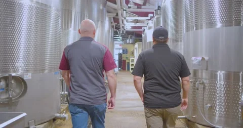 Workers Walking In Wine Cellar Stock Footage 205912636