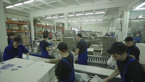 Workers In Warehouse Preparing Goods For Dispatch Stock Footage 71008889