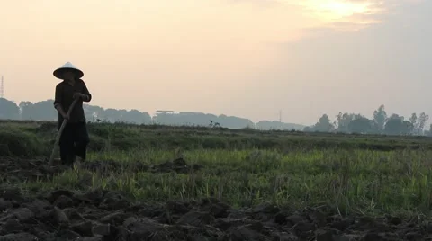 Workers were hoeing fields and gardens Stock Footage 64578388