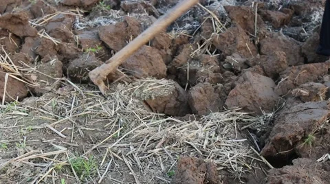 Workers were hoeing fields and gardens Stock Footage 64578424