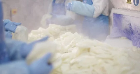 Workers in white protective clothing sorting pale raw product at a table in a Vídeo Stock 339970440