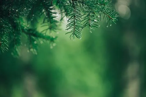 Workers work with cement mortar, loading the hopper bucket with mortar with a Stock-Fotos