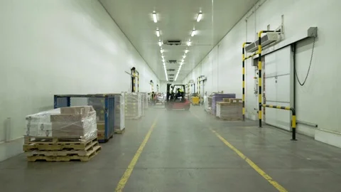 Workers Work In The Cold Store 動画素材 123018591