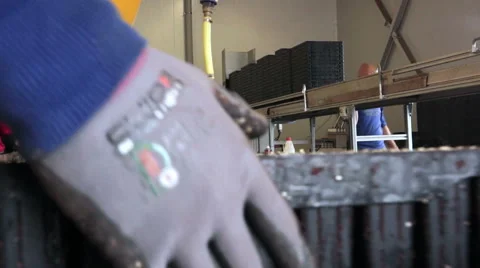 Workers work at a factory conveyor Stock Footage 46477657