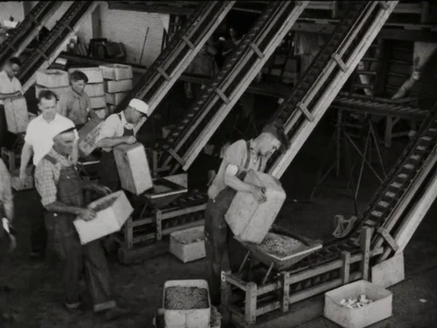 Workers work in the food processing industry - 1935 Stock Footage 95815066