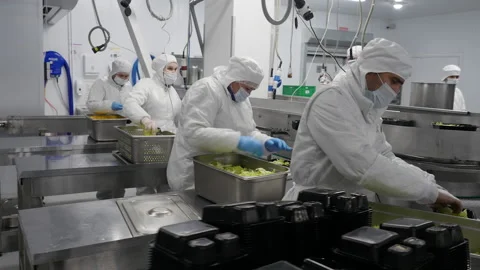 Workers work packing machine at ready-made food factory. Stock Footage 165285036